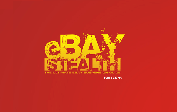 ebay stealth guide book